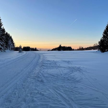 Apartmany Sumavanek Zdíkov Esterno foto