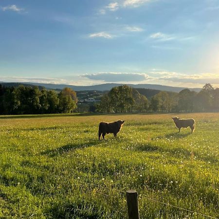 Apartmany Sumavanek Zdíkov Esterno foto
