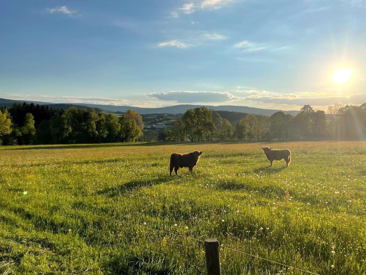 Apartmany Sumavanek Zdíkov Esterno foto